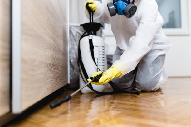 Best Rat Extermination Near Me  in Lifornia Polytechnic State University, CA