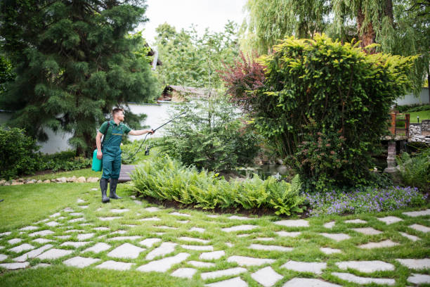 Best Wasp Removal Services  in Lifornia Polytechnic State University, CA