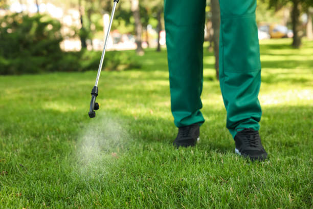 Best Pest Control Near Me  in Lifornia Polytechnic State University, CA