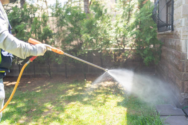 Best Affordable Pest Control Services  in Lifornia Polytechnic State University, CA