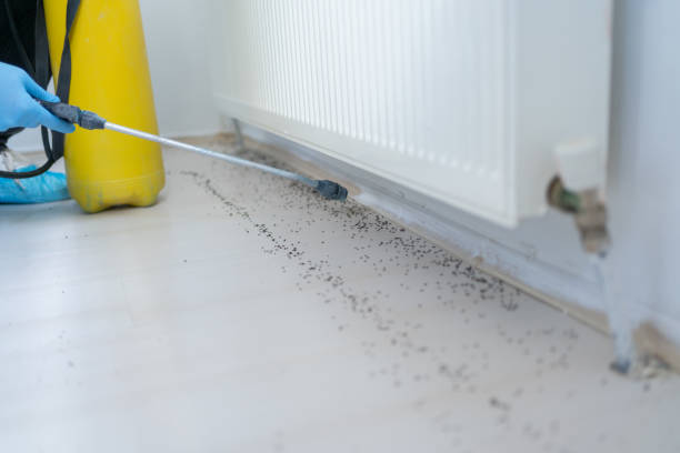Best Local Pest Control Services  in Lifornia Polytechnic State University, CA